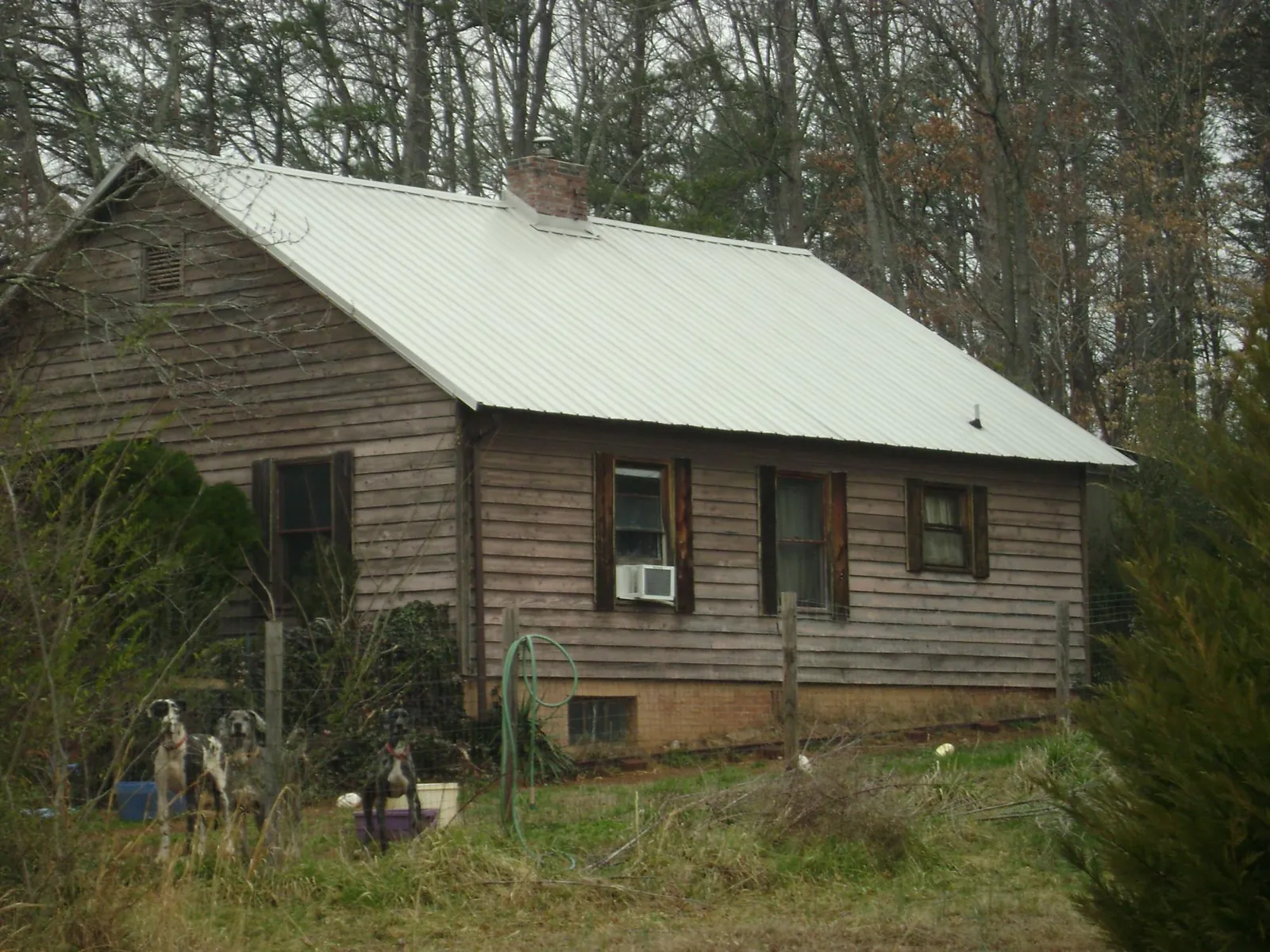 White metal roof on an old wood sided farmhouse, from a Asphalt Shingle Roof Repair job in Shasta